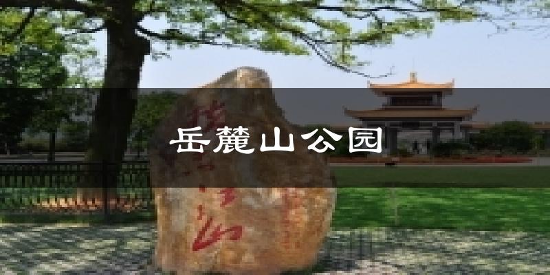 岳麓山公园今日天气