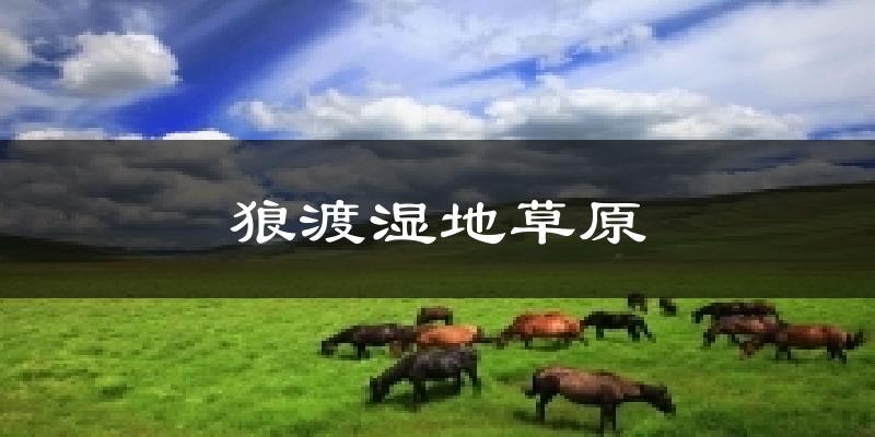 狼渡湿地草原气温