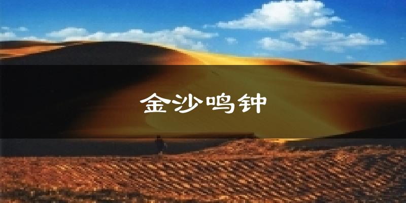 金沙鸣钟气温