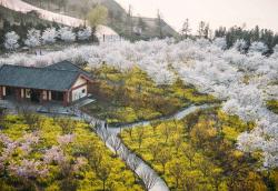 郑州上街天气未来15天