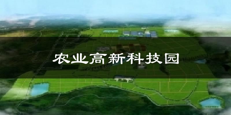 农业高新科技园气温