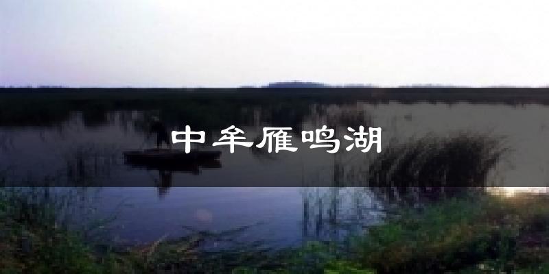 中牟雁鸣湖气温