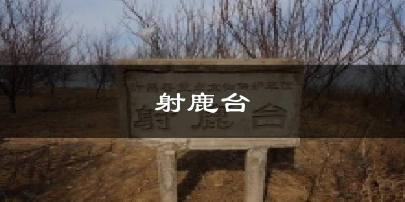 射鹿台气温
