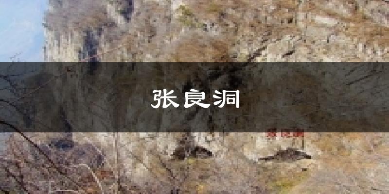 张良洞气温