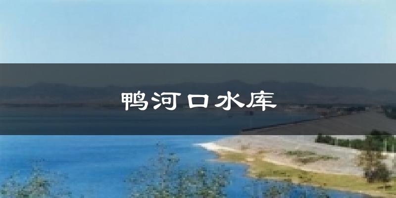 鸭河口水库气温