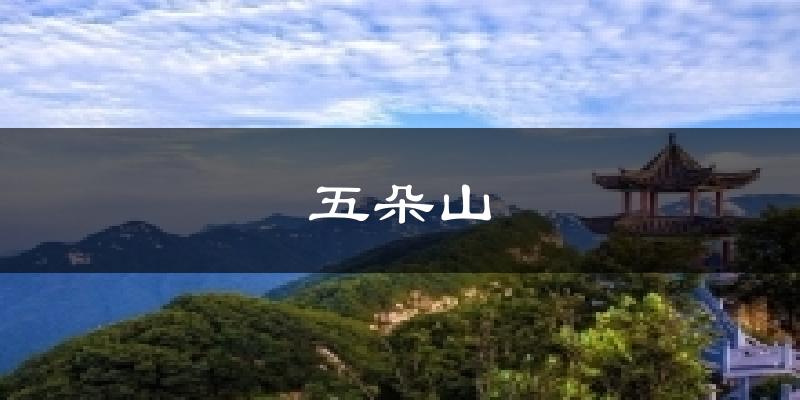五朵山气温