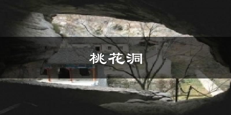 桃花洞气温