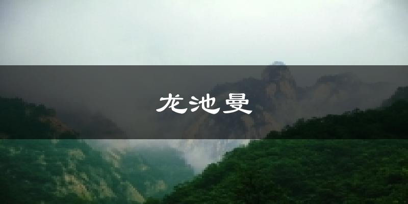 龙池曼今日天气