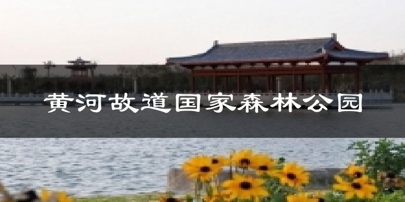 黄河故道国家森林公园气温
