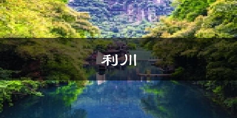 利川天气预报未来一周