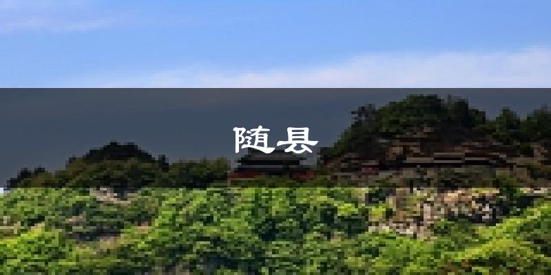 随县天气预报未来一周