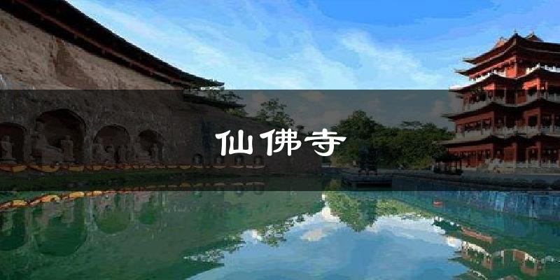仙佛寺今日天气