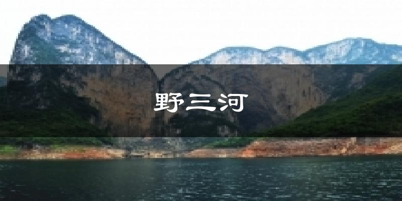 野三河今日天气