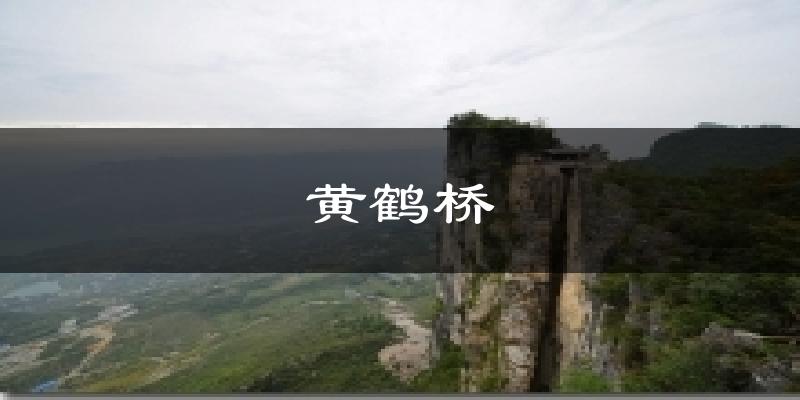 黄鹤桥今日天气