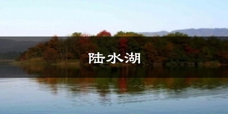 陆水湖今日天气