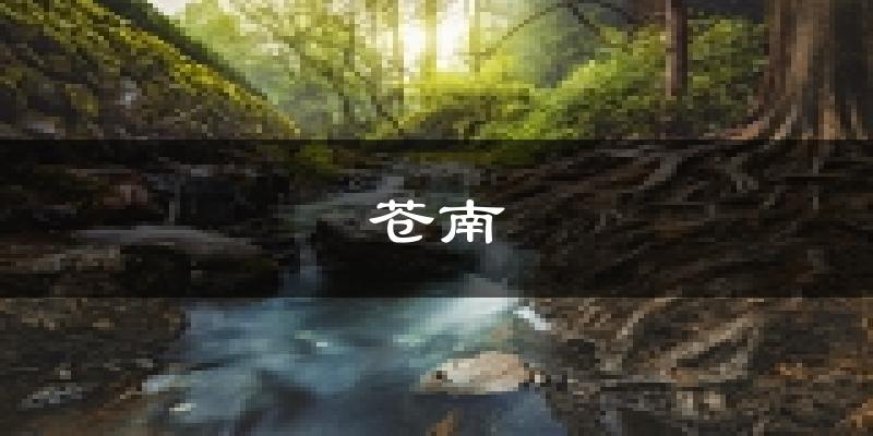 苍南天气预报未来一周
