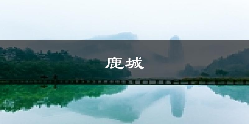 温州鹿城天气预报未来一周