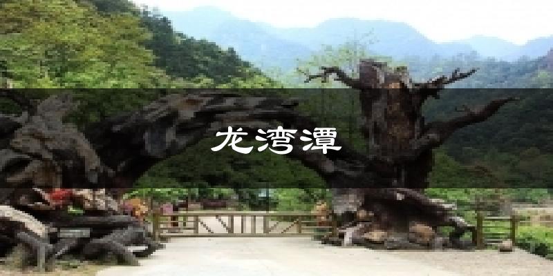 龙湾潭今日天气