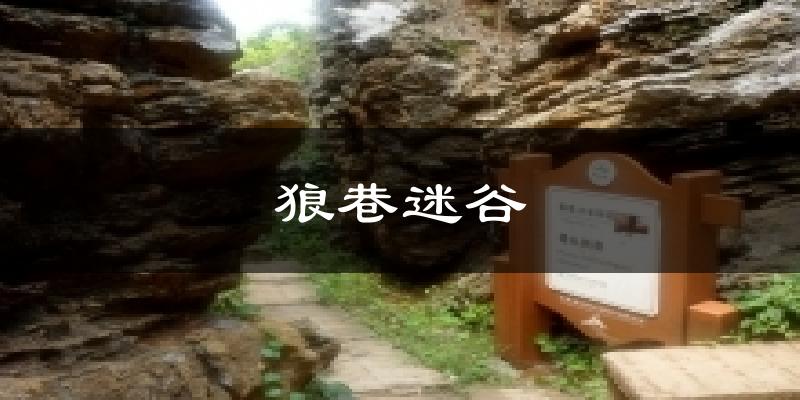 狼巷迷谷今日天气