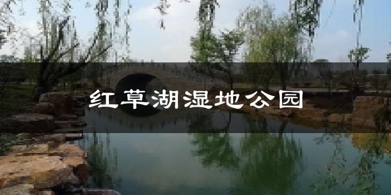红草湖湿地公园今日天气