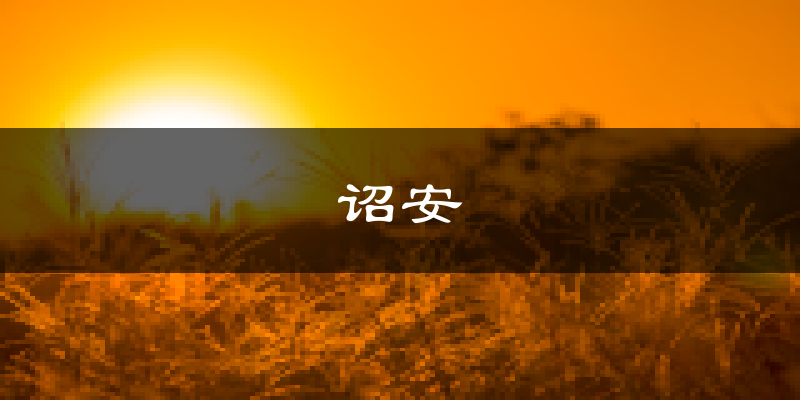 诏安天气预报未来一周