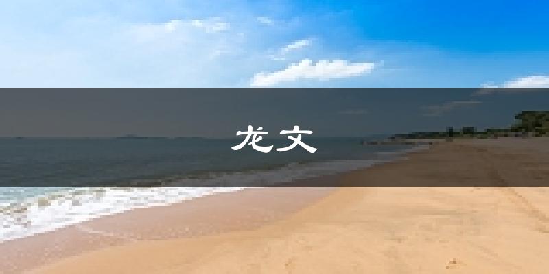 漳州龙文天气预报未来一周