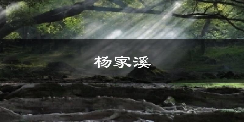 杨家溪今日天气
