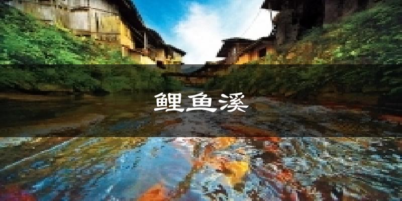鲤鱼溪气温