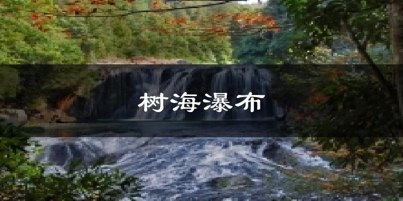 树海瀑布气温