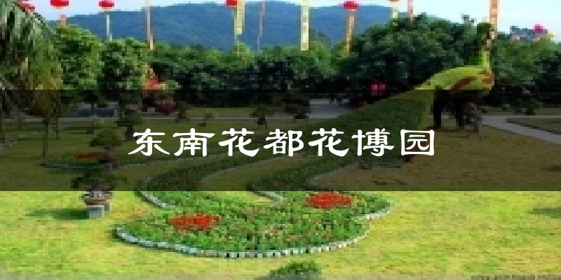 东南花都花博园今日天气