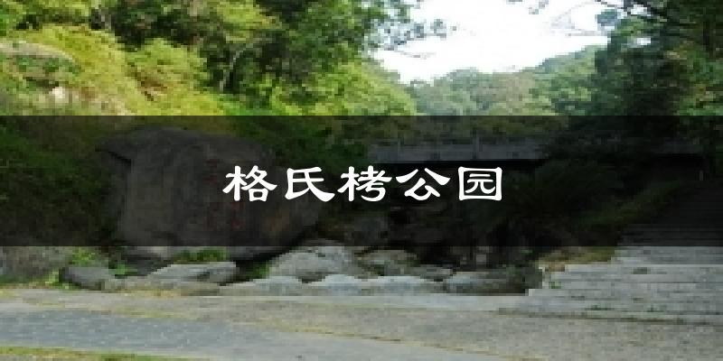 格氏栲公园气温