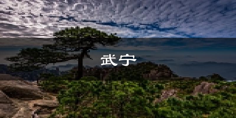 武宁天气预报未来一周