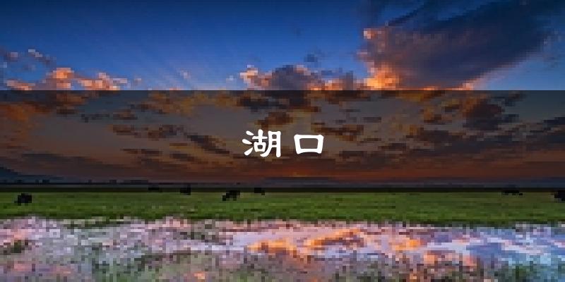 湖口天气预报未来一周