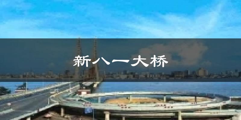 新八一大桥今日天气