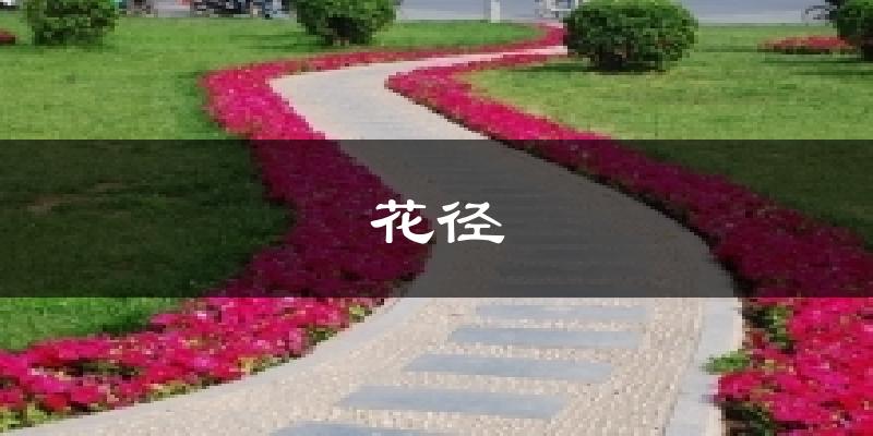 花径今日天气