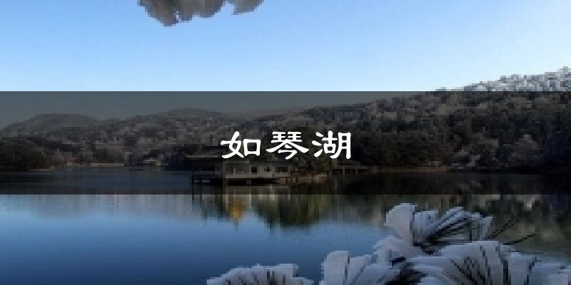 如琴湖今日天气