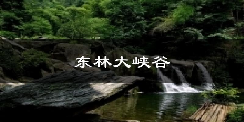 东林大峡谷今日天气