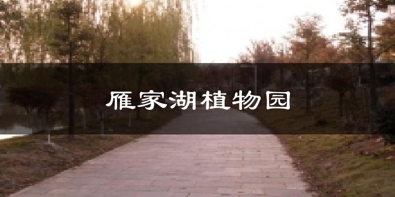 雁家湖植物园气温