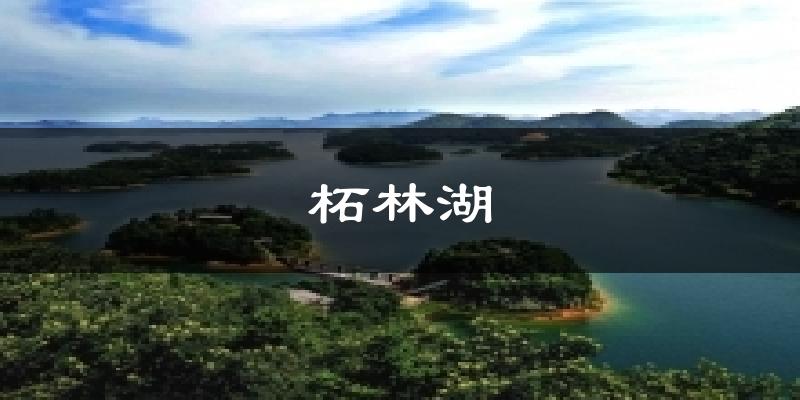 柘林湖气温