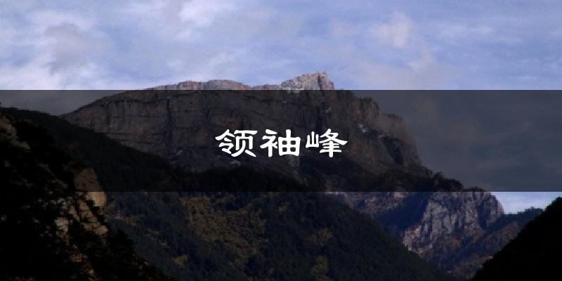 领袖峰天气未来15天