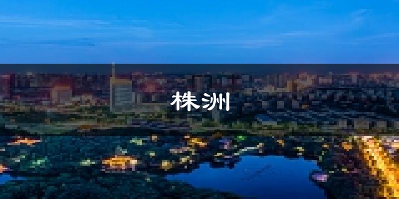 株洲天气预报未来一周