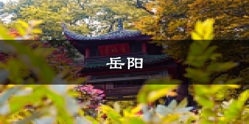 岳阳天气预报未来一周