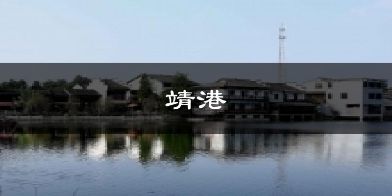 靖港今日天气