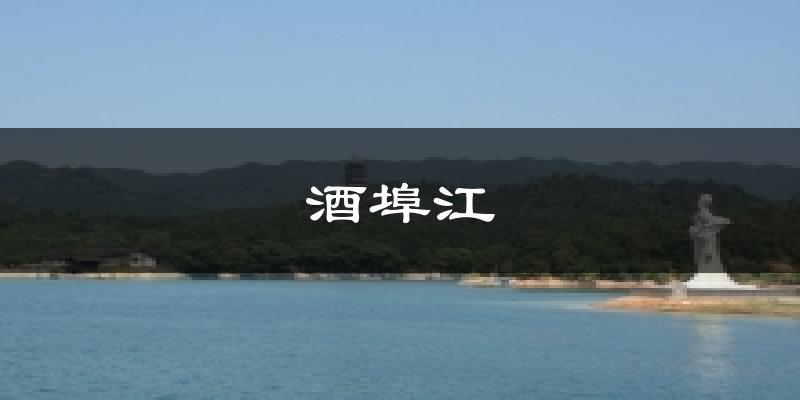 酒埠江今日天气