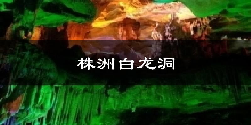 株洲白龙洞今日天气