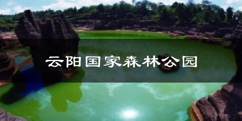 云阳国家森林公园气温