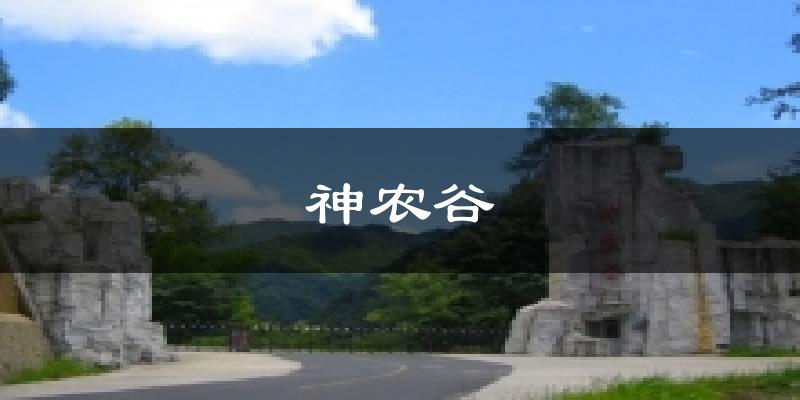 神农谷气温