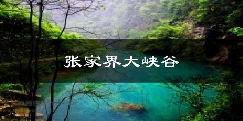 张家界大峡谷气温