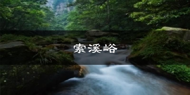 索溪峪气温