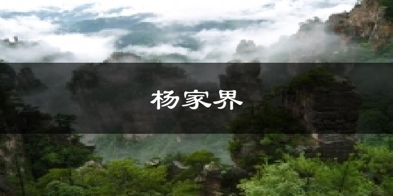 杨家界今日天气